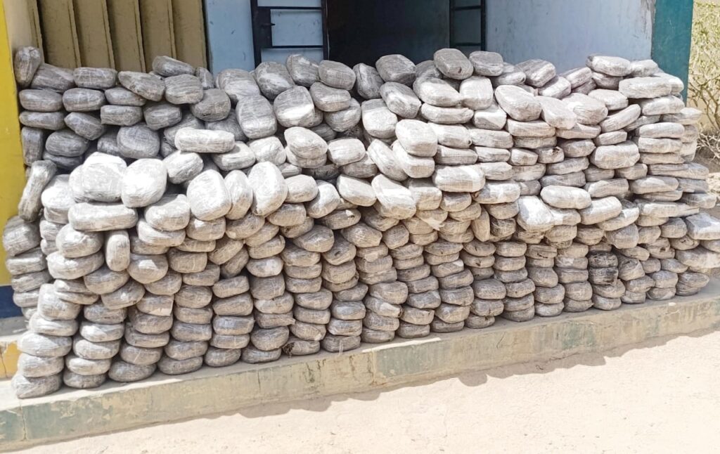 879 parcels of suspected Cannabis sativa in Dawakin Tofa Local Government Area of Kano State
