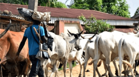 A nomad in Nigeria