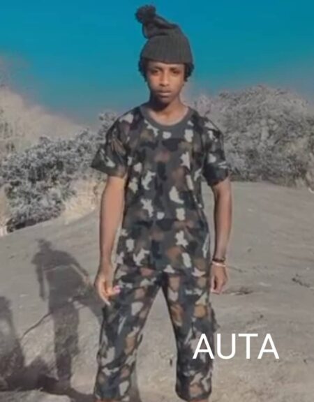 Auta