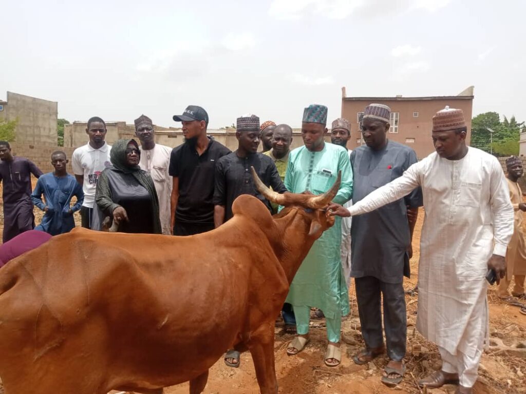 Cattle distributed by Sokoto State Government