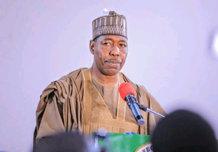 Governor Babagana Zulum