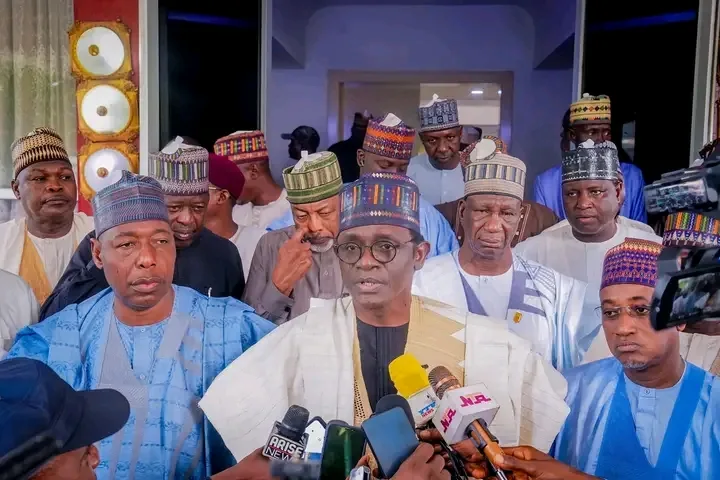 Governor Mai Mala Buni