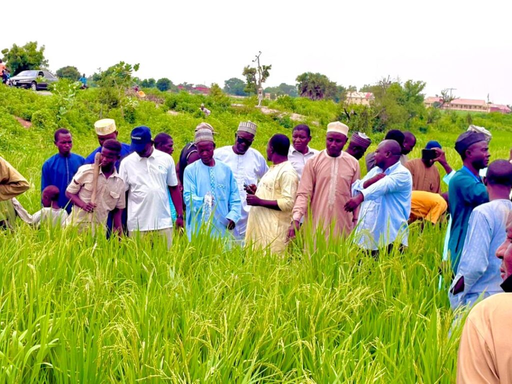 NASENI deploys solar irrigation systems to transform agriculture in Kano IMG 20260903 WA0010
