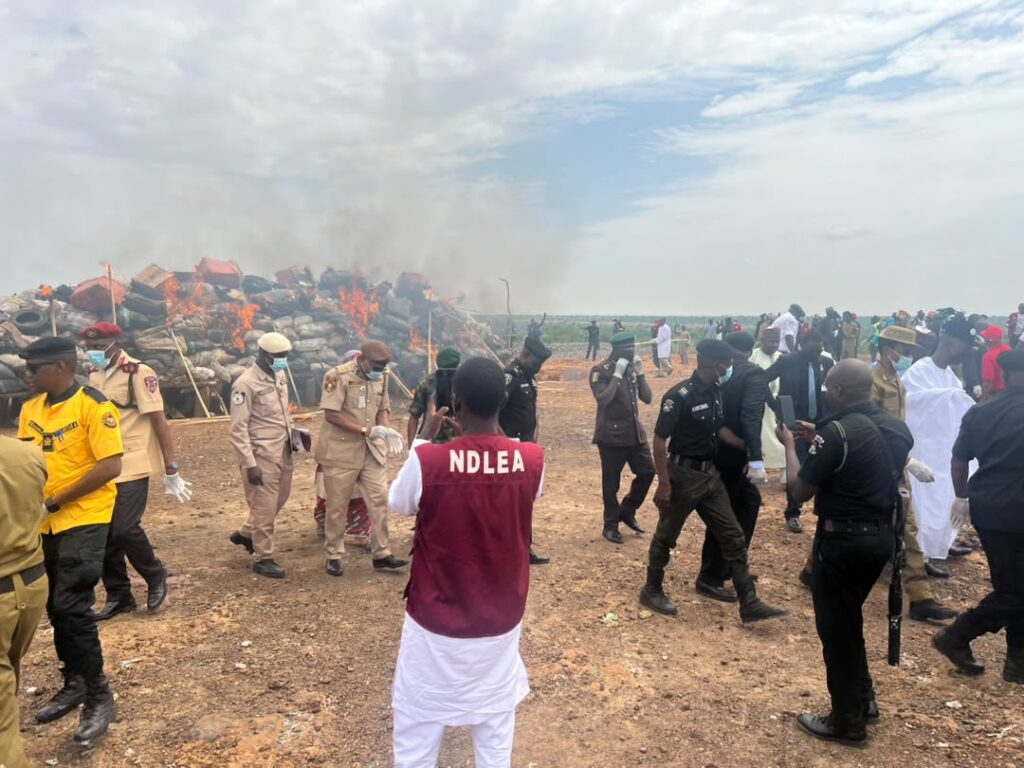Kano, NDLEA Destroy 12.2 Tonnes of Illicit Drugs, Intensify Anti Drug Campaign