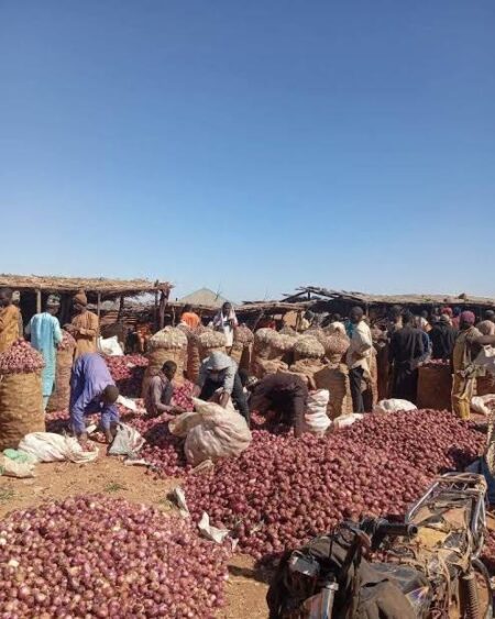Onion in Sokoto Communities