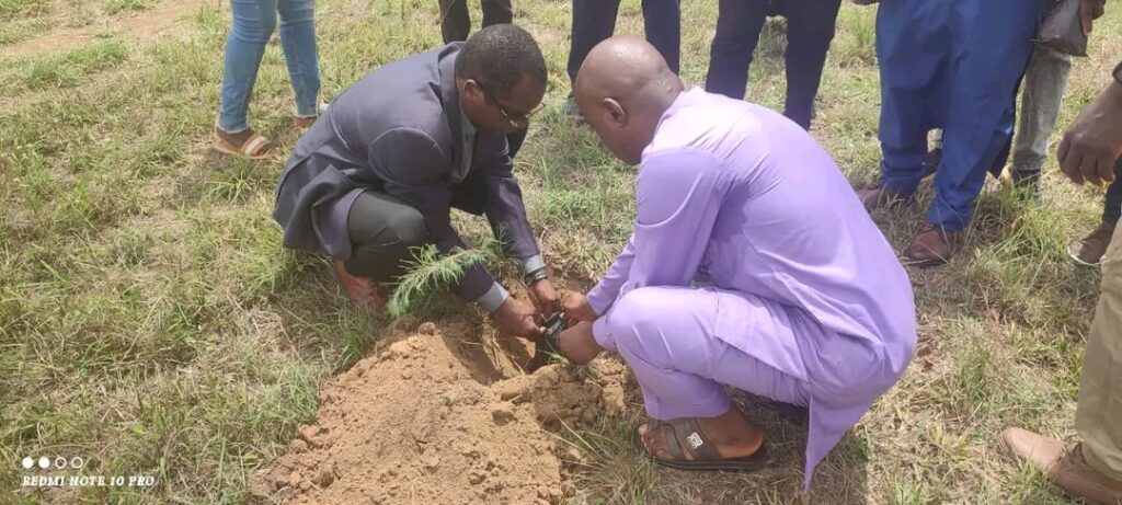 Plateau State University during planting tree campaign