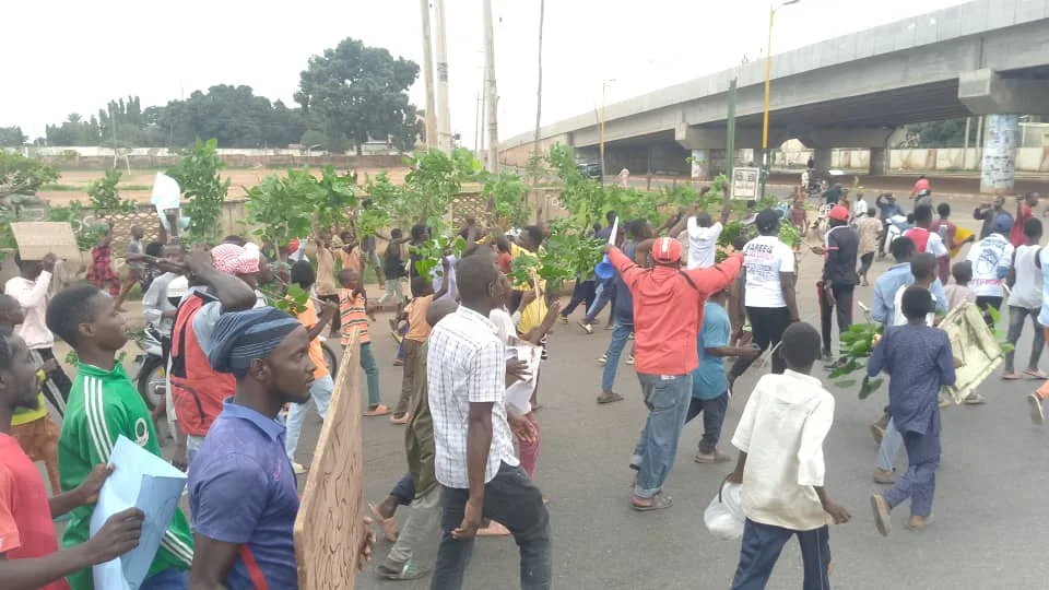Protesters in Kaduna