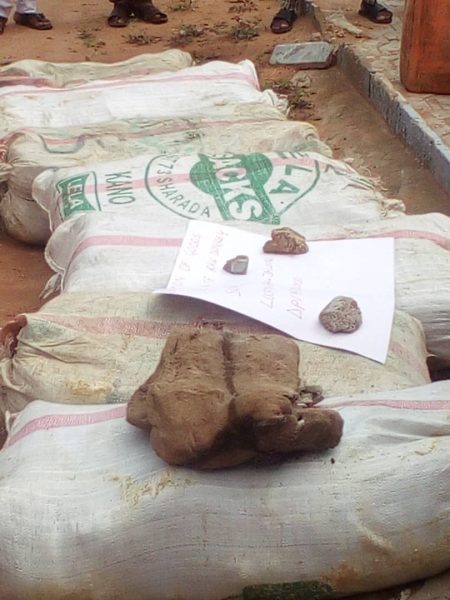 Raw Donkey skin