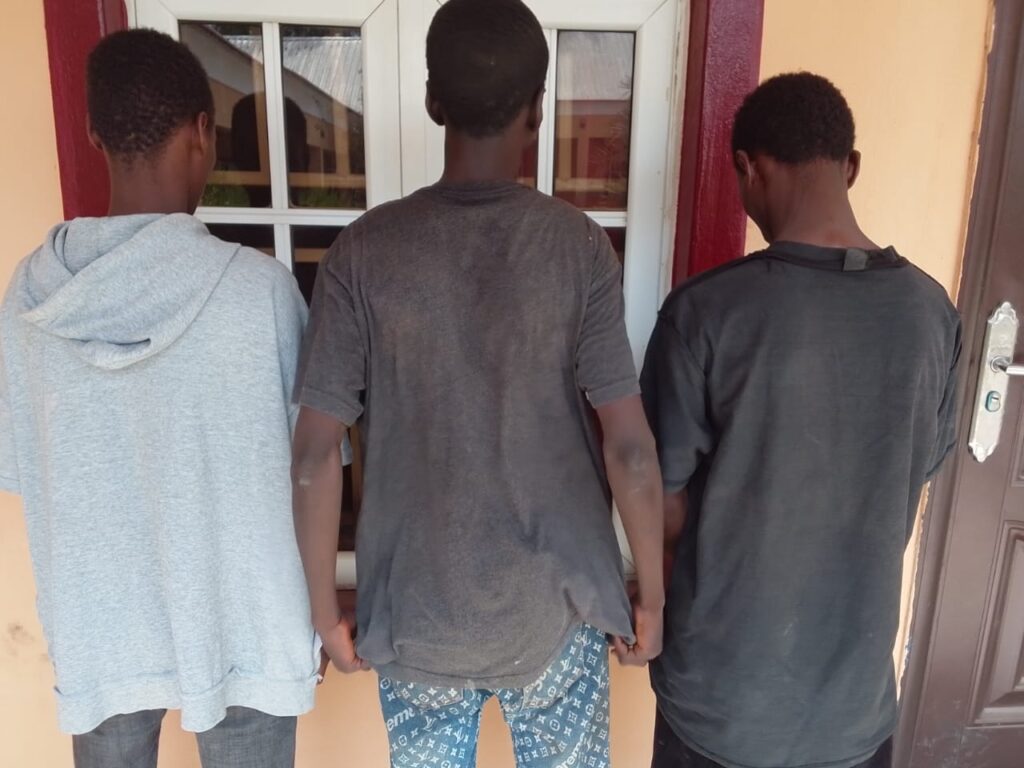 The three suspects arrested by NSCDC in Kano